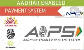 AEPS Service - White Label Portal